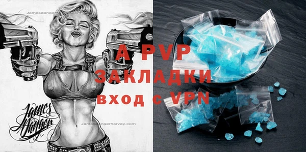 стаф Алексин