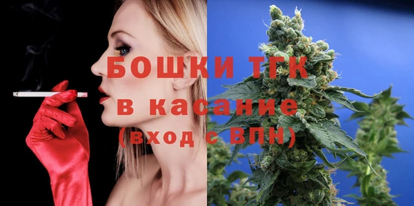 стаф Алексин