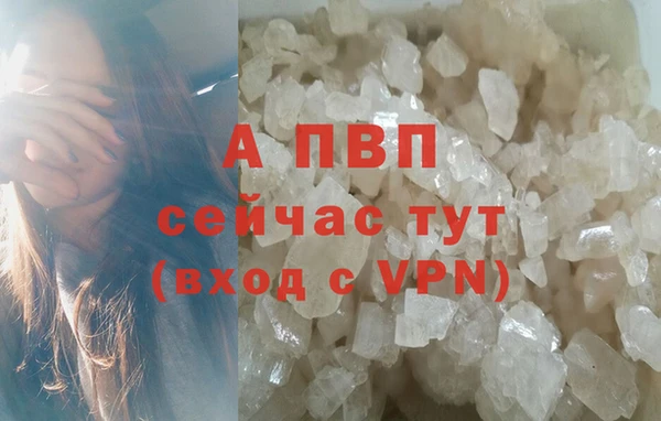 стаф Алексин