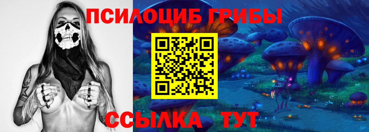 Сургут  хочу   Вход с VPN  Галлюциногенные грибы мицелий  Псилоцибиновые грибы Magic Shrooms 